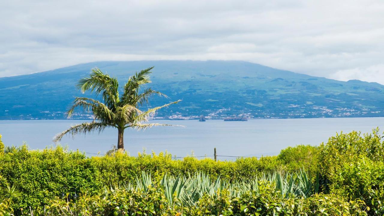 オルタQuinta Do Torcazアパートメント エクステリア 写真
