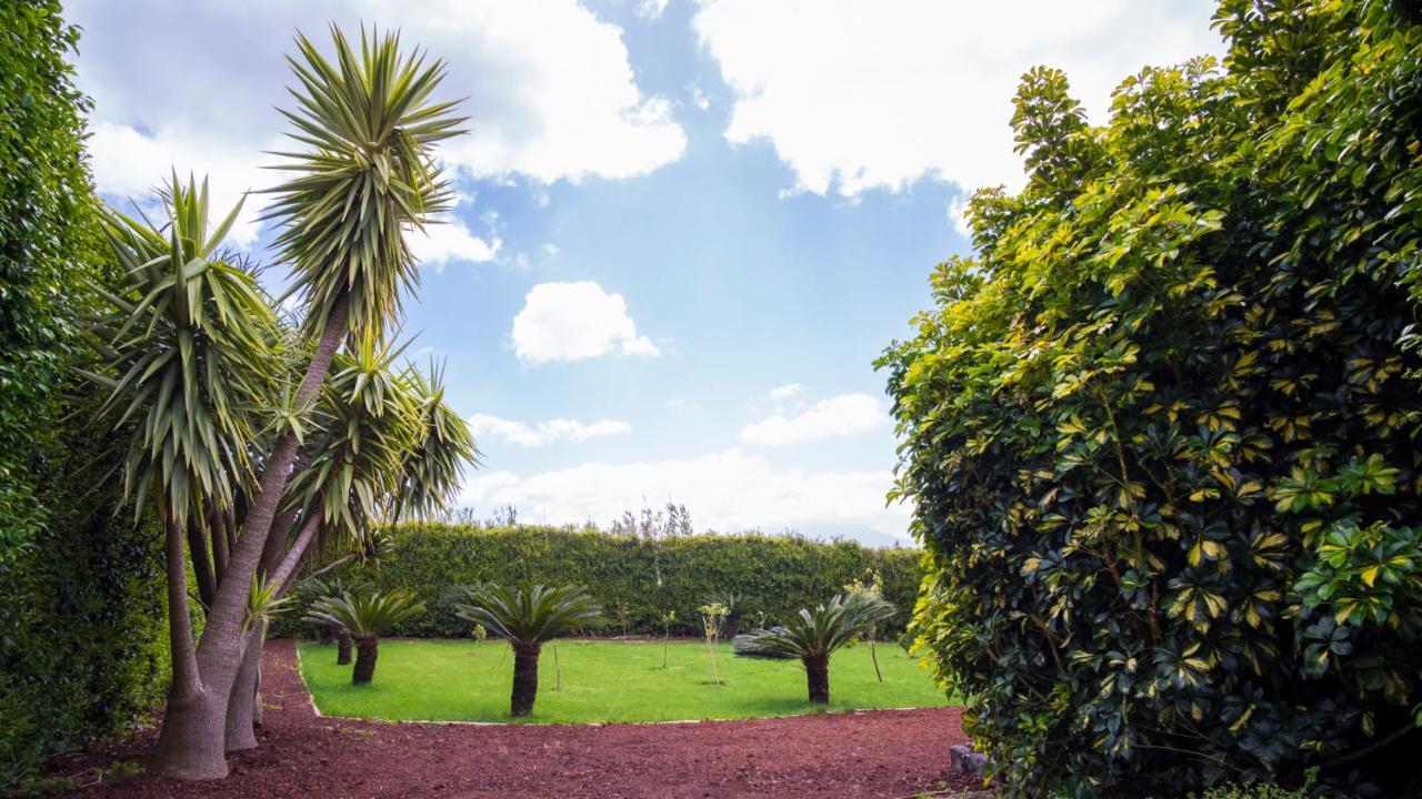 オルタQuinta Do Torcazアパートメント エクステリア 写真